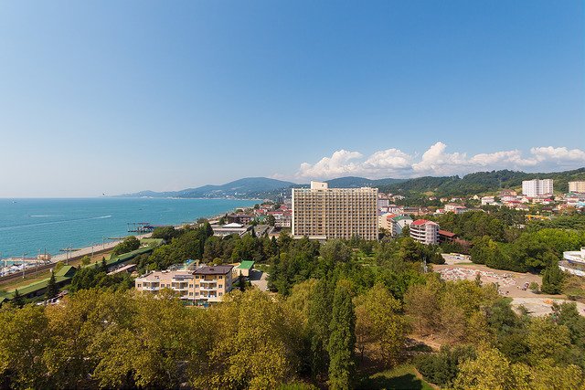Дельфин (Адлеркурорт)